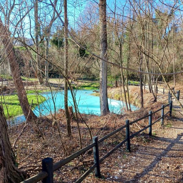 Lavino autunno - Sergio Rusi